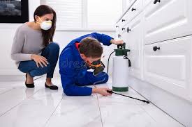 Trusted Yorba Linda, CA Pest control Experts